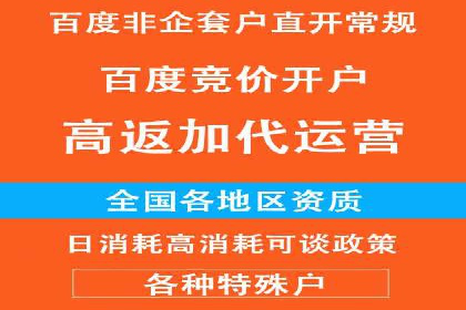 SEM广告的精准定向技巧与成功案例解析